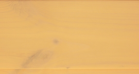 5177_Aprikose13